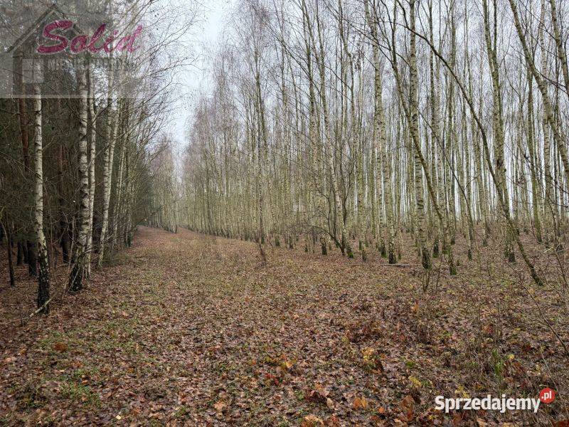 działka z warunkami zabudowy w spokojnej asfalt Stawek
