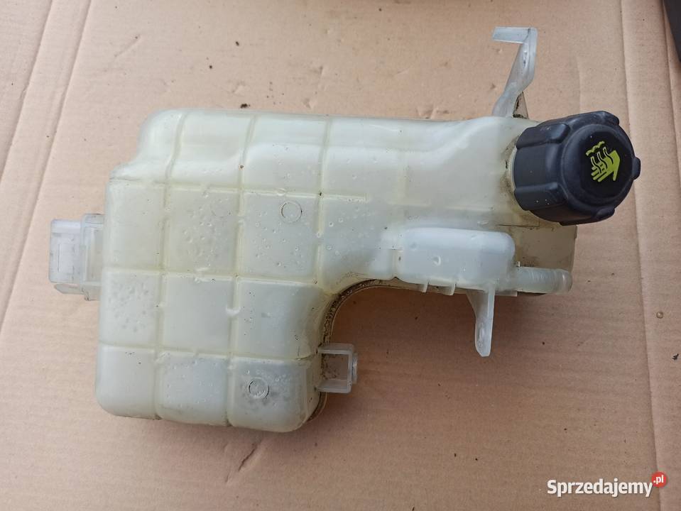 Zbiorniczek wyrównawczy Renault Espace IV 20 dci Bolesławiec sprzedam