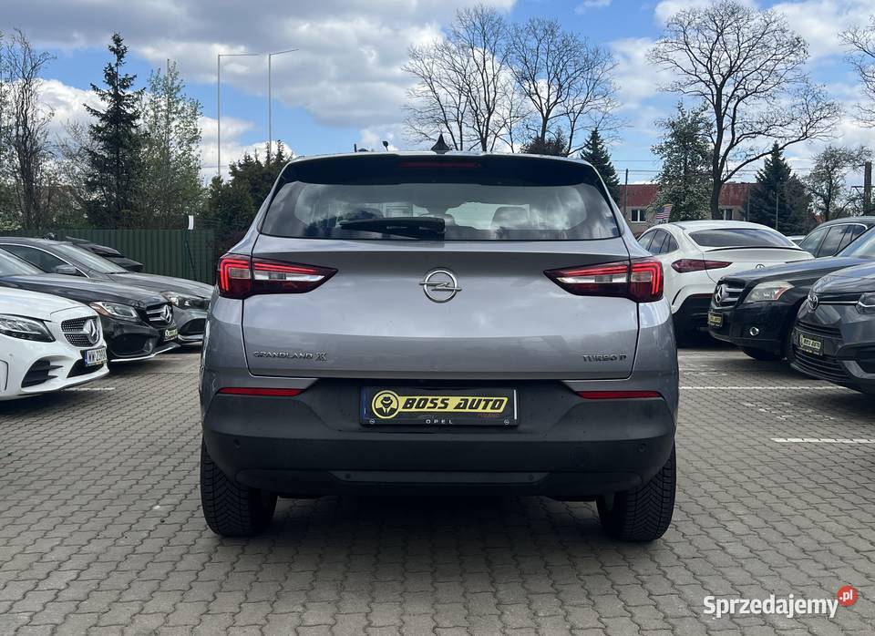 Opel Grandland X 2019 nieuszkodzony