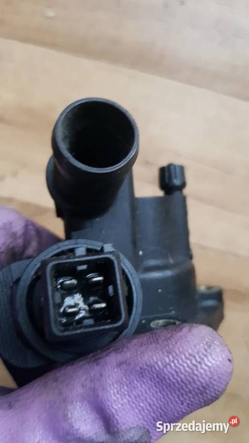 termostat z obudową i czynnikiem clio II 15 dci Pozostałe Szczecin