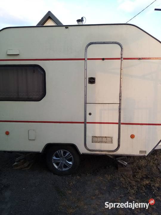 Wilk ci sport 320 mazowieckie Pałuki sprzedam