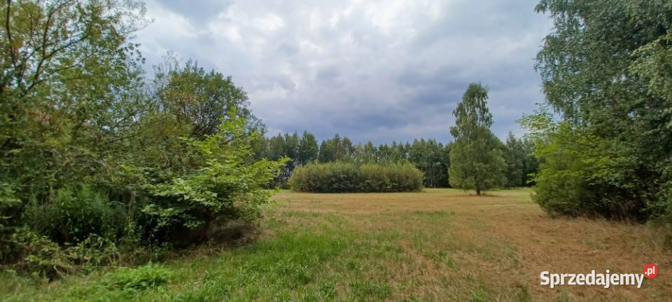 WarszawaRaszynTarczyn Posiadłość 2 ha z Sprzedaż Tarczyn