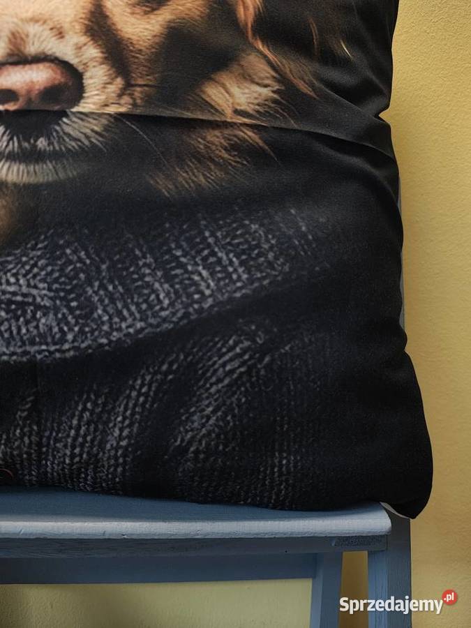 Poszewka na poduszkę Poduszki dekoracyjne Łódź