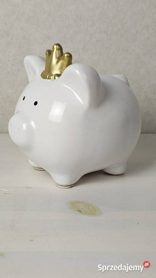 Świnka skarbonka łódzkie