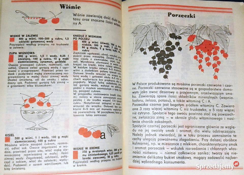 Mrożonkowe ABC Ludmiła Grudowa lubelskie Chełm