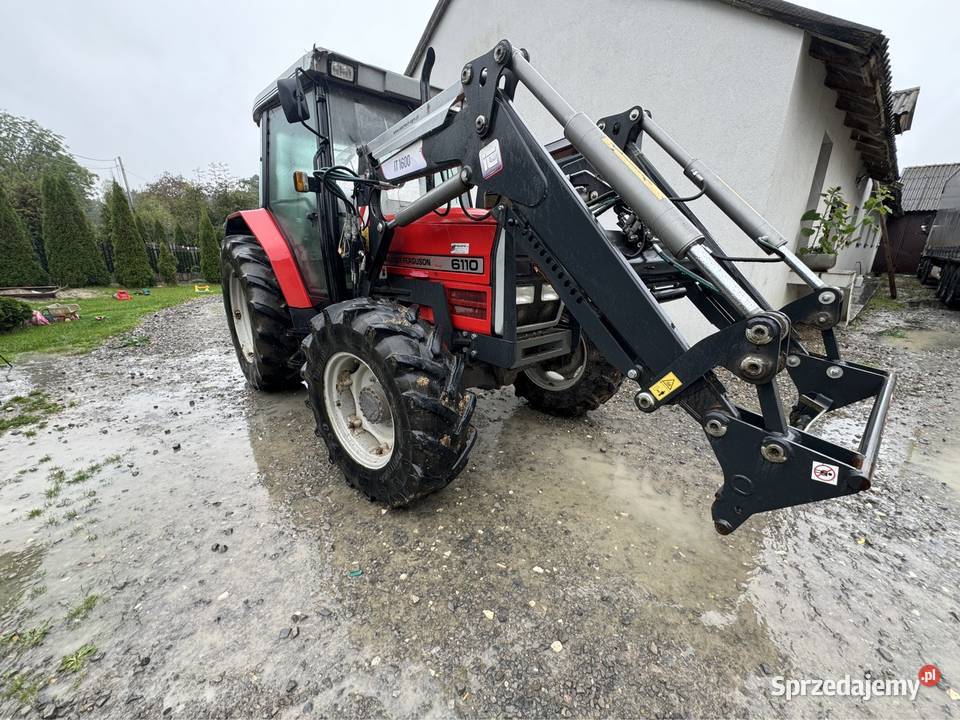 Massey 6110 Orzelec Duży