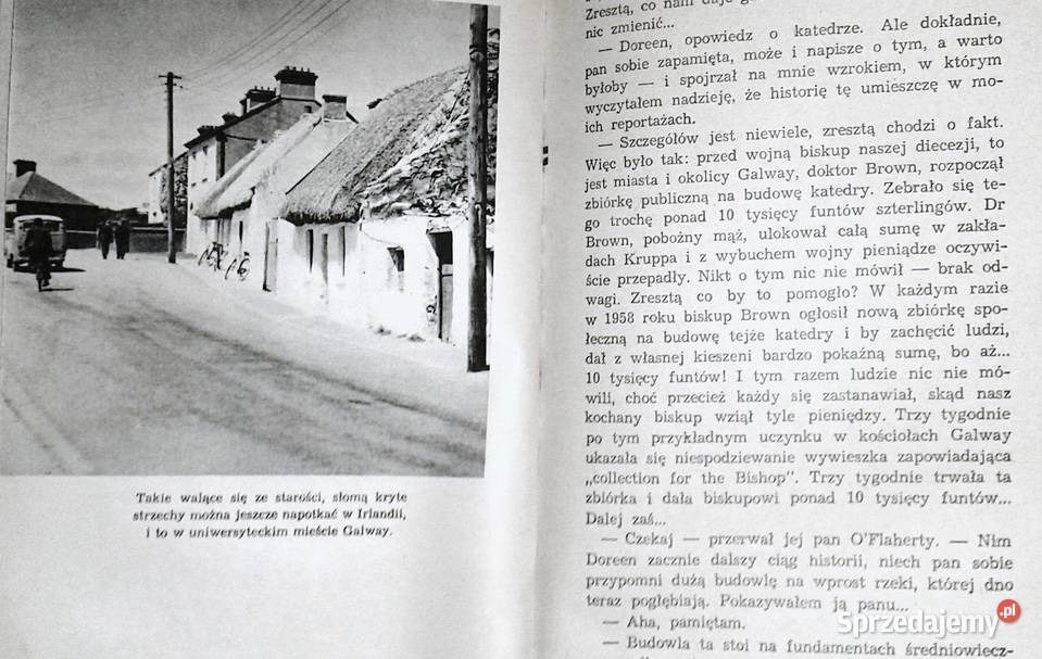 Wyspa Celtów Jan Gitlin lubelskie Chełm sprzedam