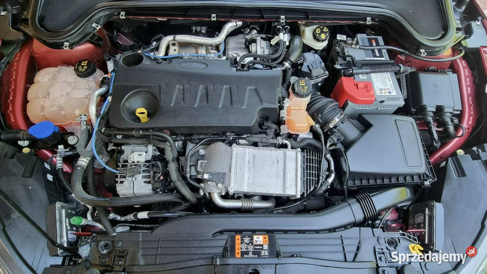 Ford Focus STLine Automat 20 150 GWARANCJA Zakup isofix Płońsk