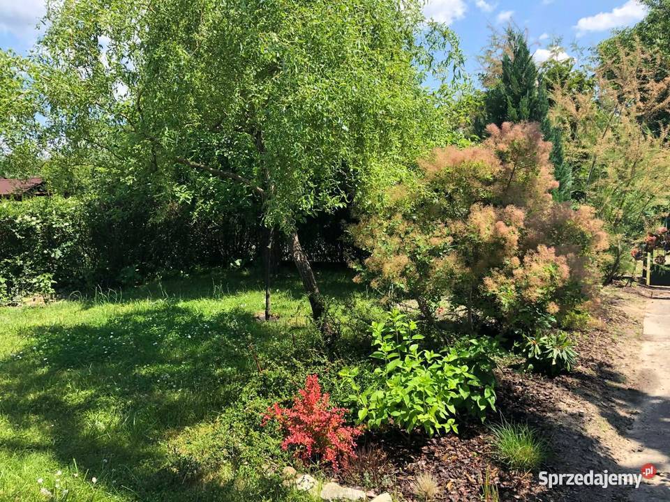 Działka ROD Cyklamen Sprzedaż Warszawa