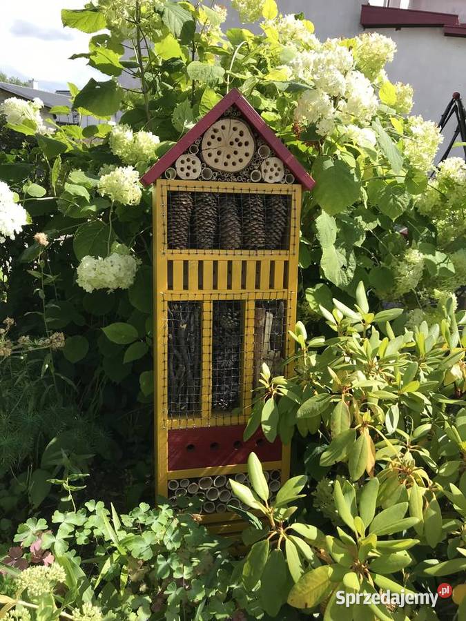 Domek owadów 100 zachodniopomorskie Sławno