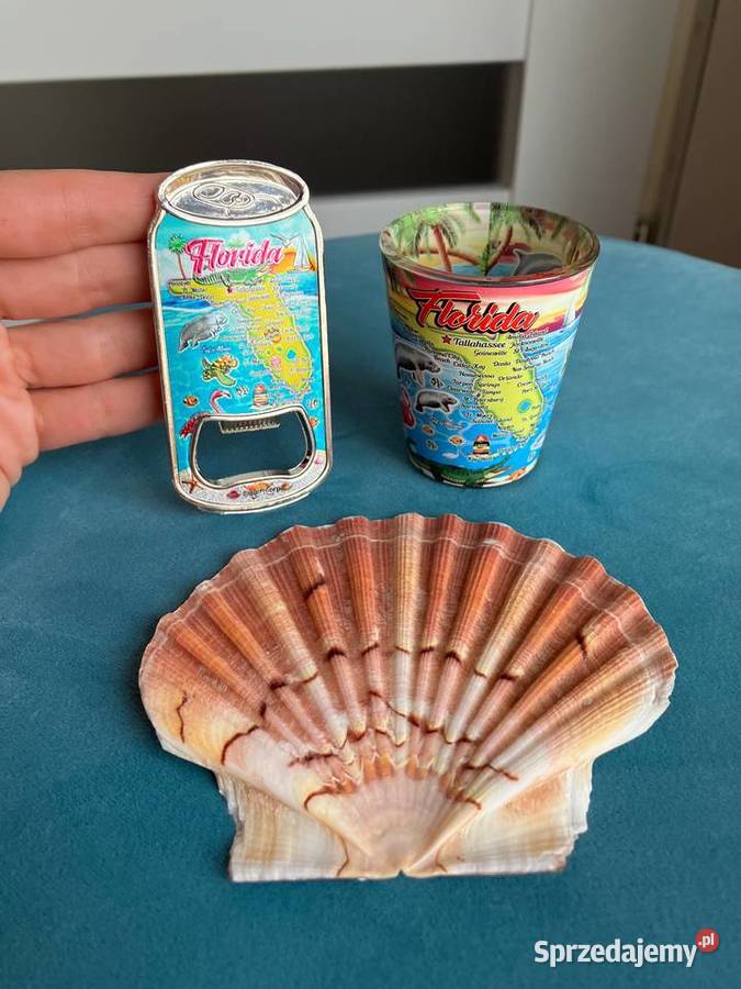 Nowy świetny zestaw z Florydy kieliszek Nisko