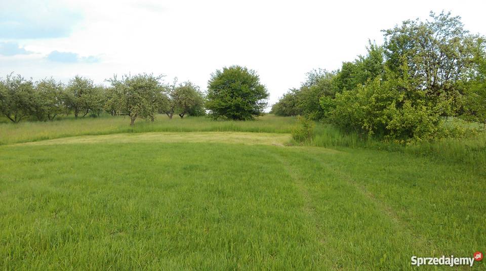 DO SPRZEDANIA GOSPODARSTWO ROLNE 403ha Pliskowola