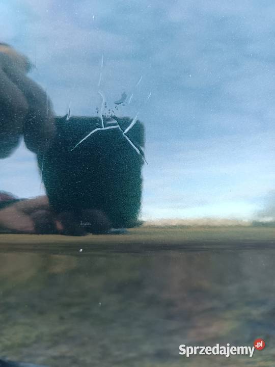 Audi A6 C6 Strzelno sprzedam