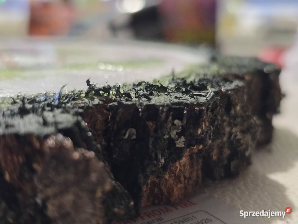 Obraz Dziewczyna na koniu Decoupage wielokolorowy Lubliniec