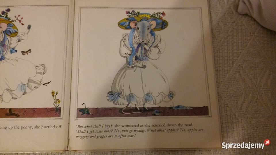 książka angielsku dzieci The tale of Fancy Nancy pomorskie Gdańsk