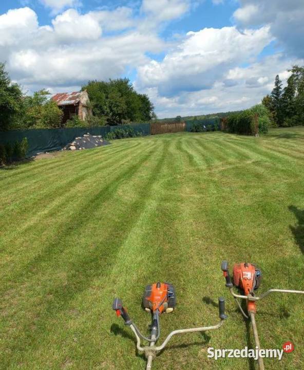 USŁUGI OGRODNICZE MACIEJOWICE garwolińskie
