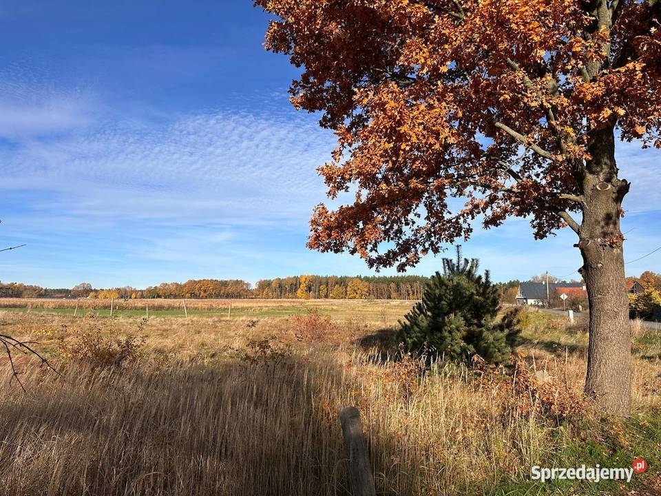 Działka budowlana drodze asfaltowej 1720m2