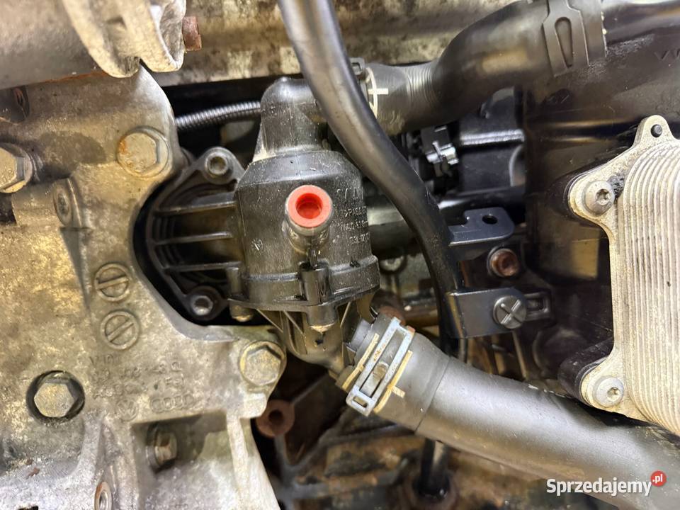 SILNIK CAY Skoda Fabia Octavia Superb II lubelskie Chełm