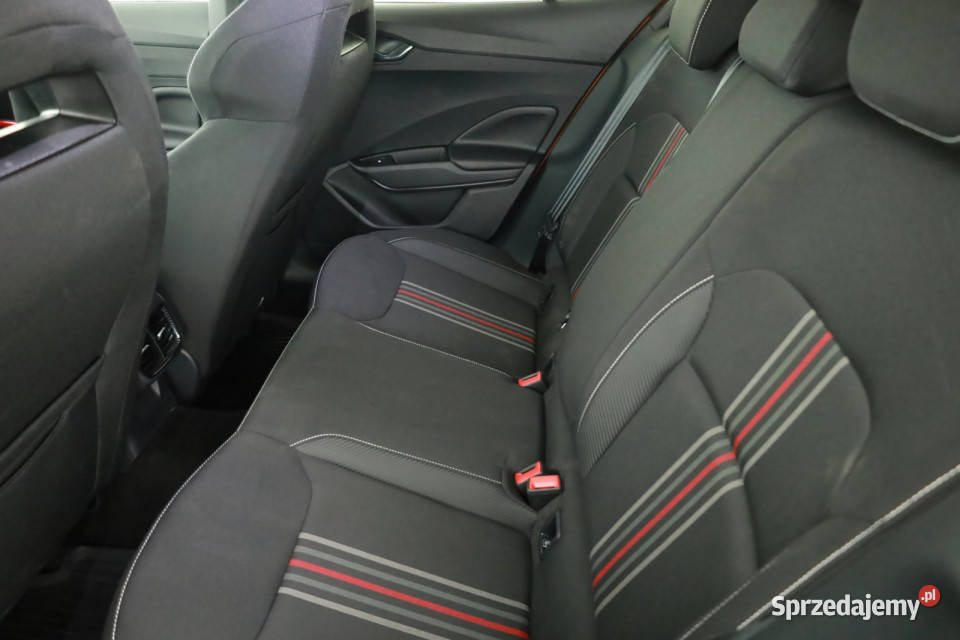 Skoda Fabia 10 TSI asystent pasa ruchu Piaseczno