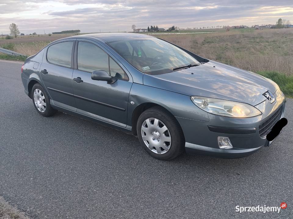 Peugeot 407 18 gaz Łęczyca
