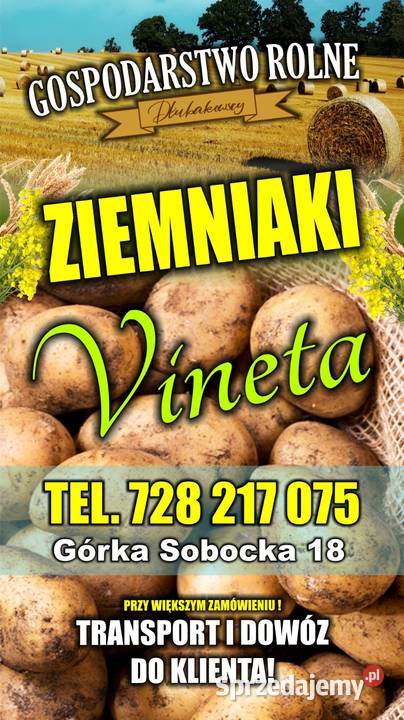 Ziemniaki VINETA Producenta PROSTO Z POLA Strzelin sprzedam