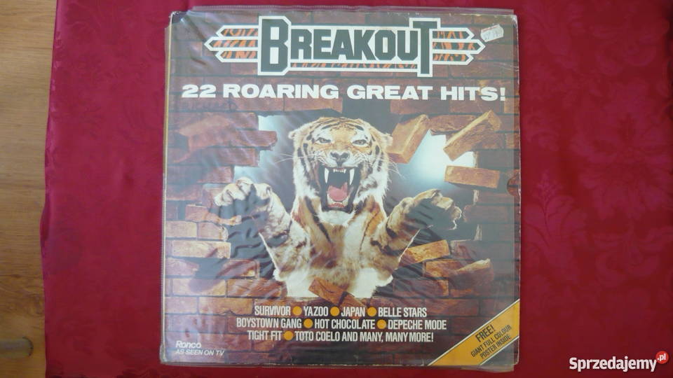 BREAKOUT Myszków sprzedam