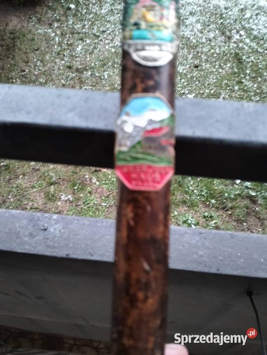 kolekcja starych lasek warmińsko-mazurskie