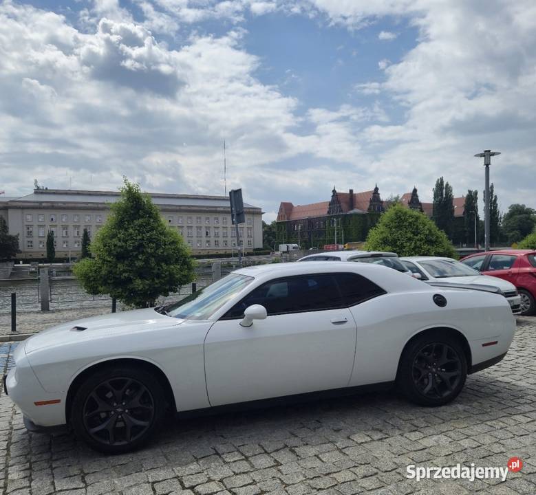 Dodge Challenger SXT 36 V6 2020 305 Wrocław