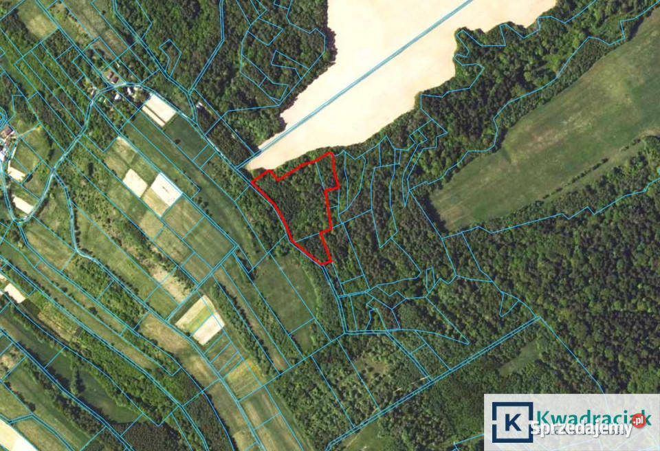 Grunt 23000m2 Witryłów 4zł/m2 Nieruchomości
