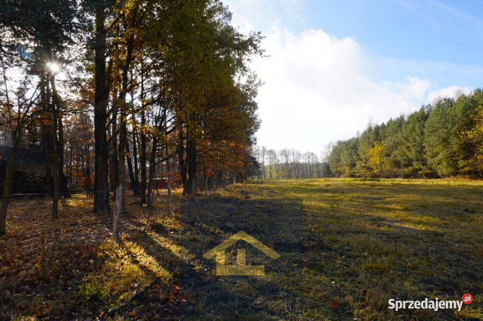 Działka z linią brzegową jeziora 160m Ruś Mała