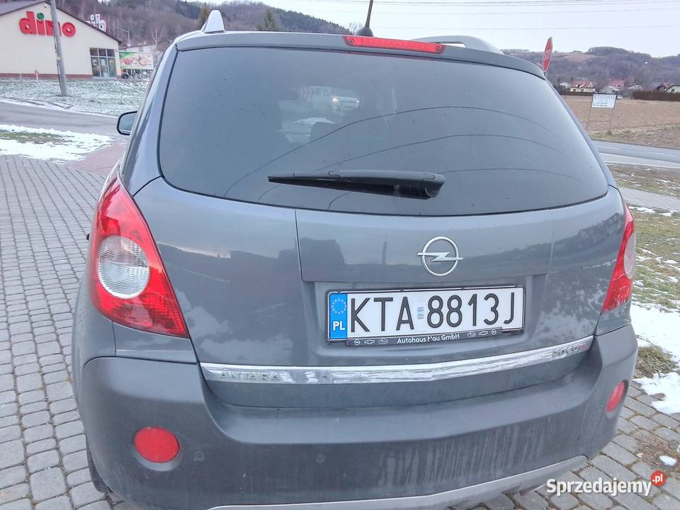 Opel Antara Olszyny
