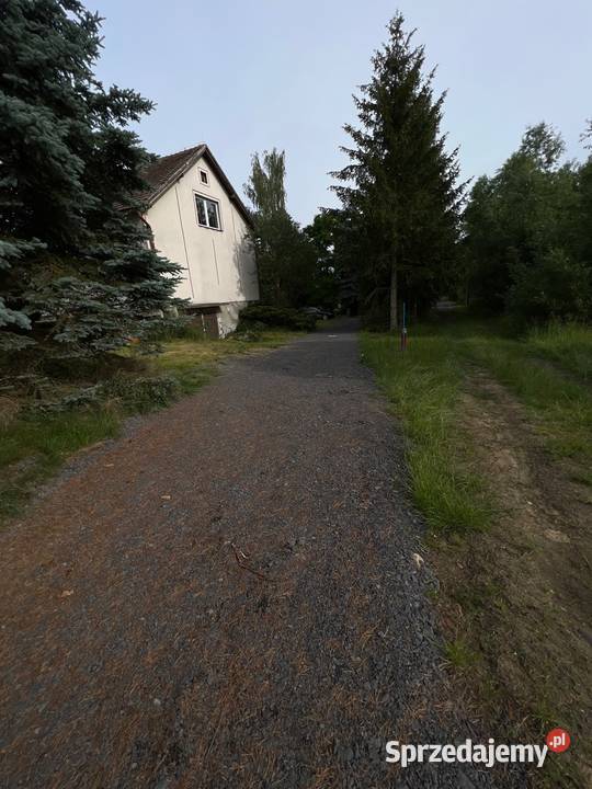 Dom pod lasem w Starym Zawidowie 20000m2 Stary Zawidów sprzedam