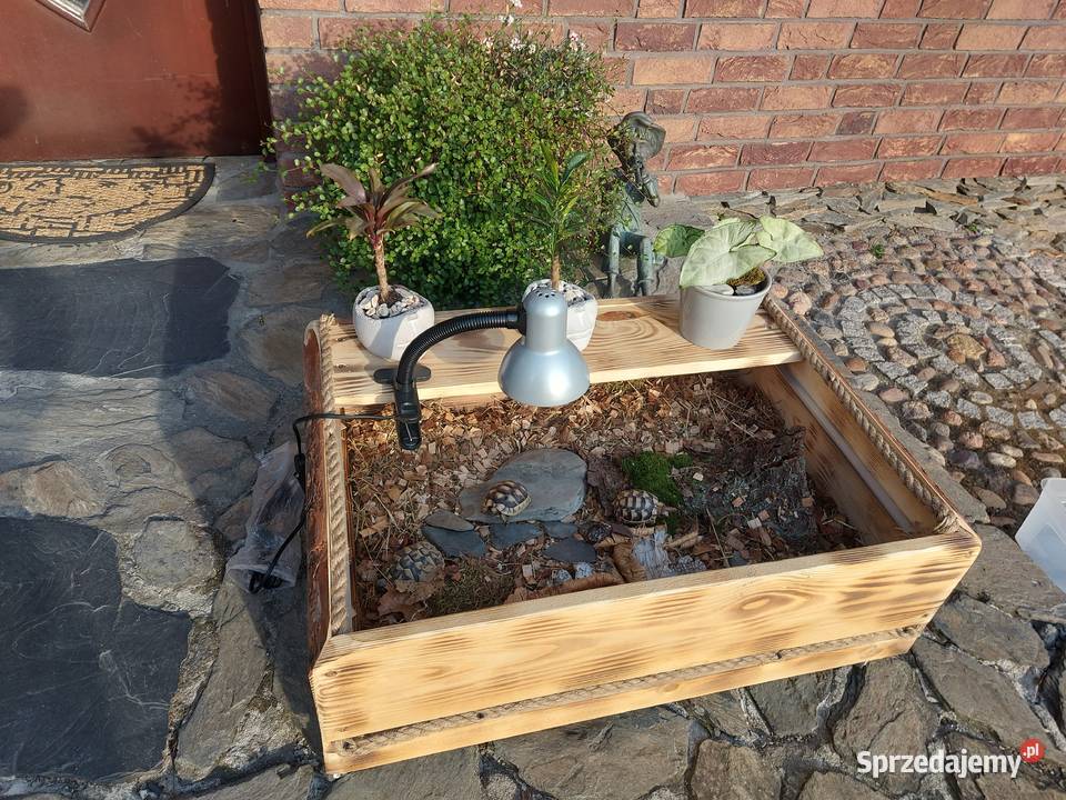 Terrarium rzemieślnicze żółwia lądowego Opole sprzedam