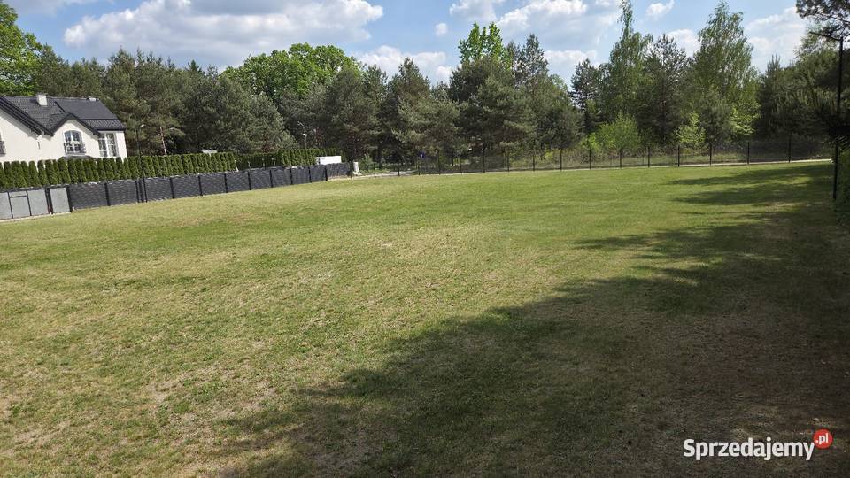 Wynajmę plac 16003200m2Sulejówek Sulejówek