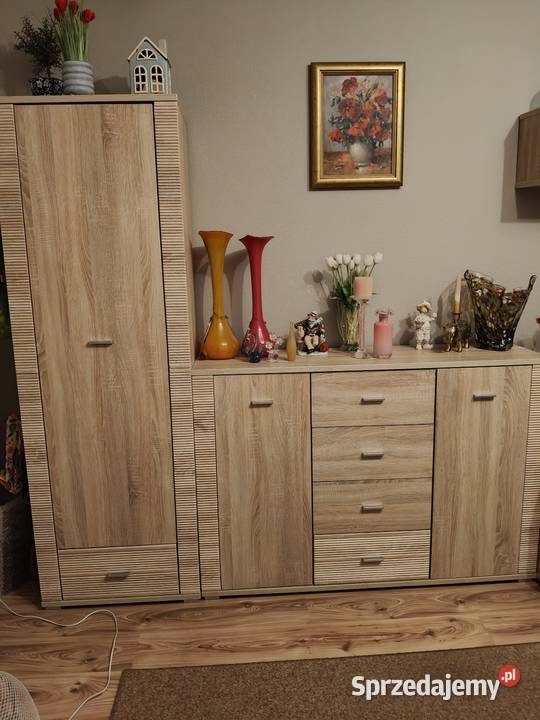 Meble do salonu Tychy