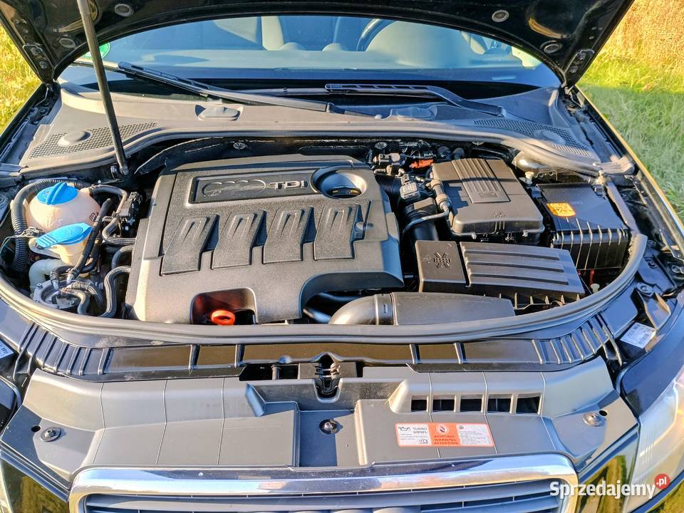 Audi A3 TDI Klima Grzane fotele Nowe Opony Stargard