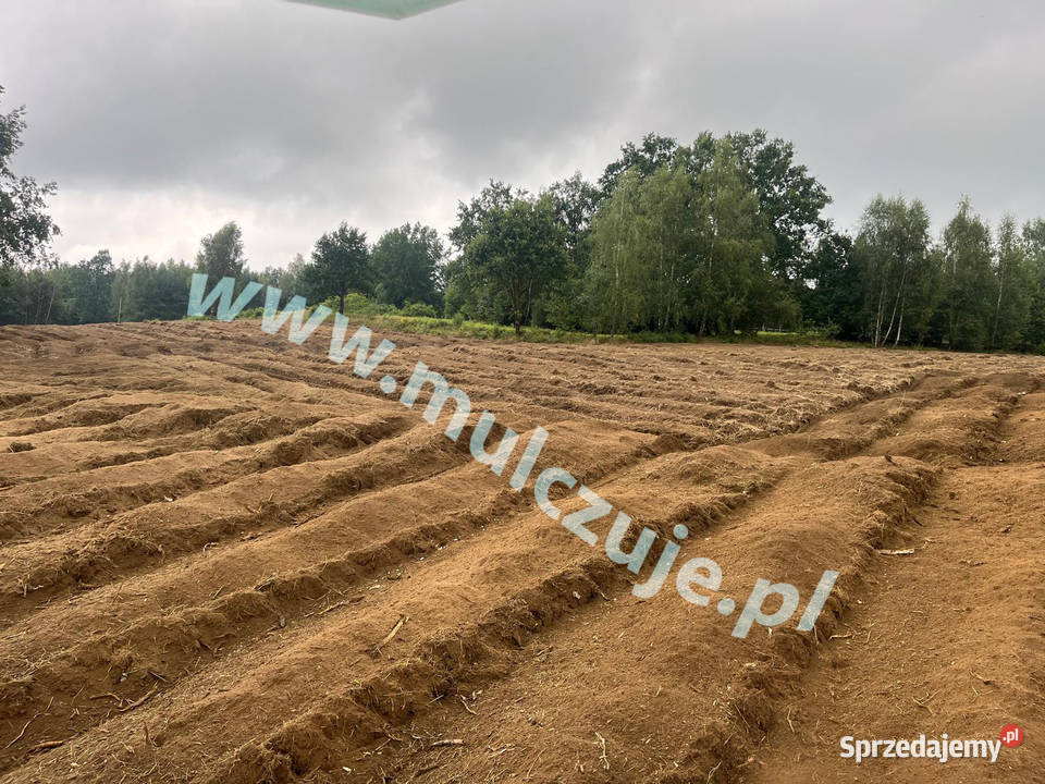 Mulczer leśny wgłębny powierzchniowy Karczowanie Olkusz