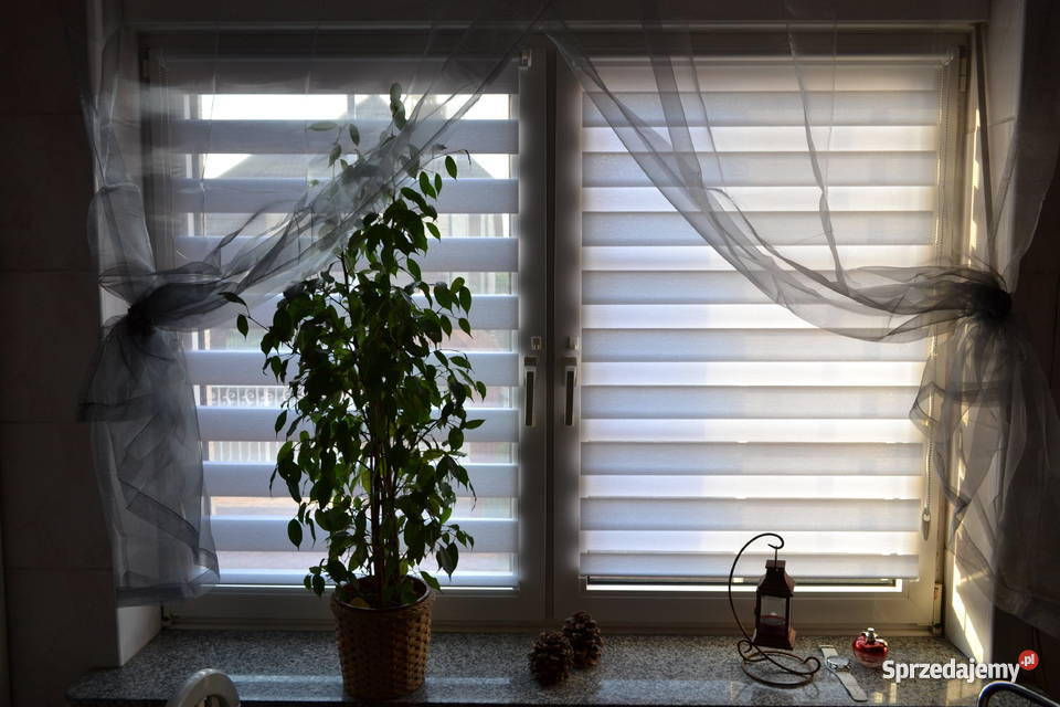 Roletarolety dzień noc Kalisz Eveche Wystrój okien
