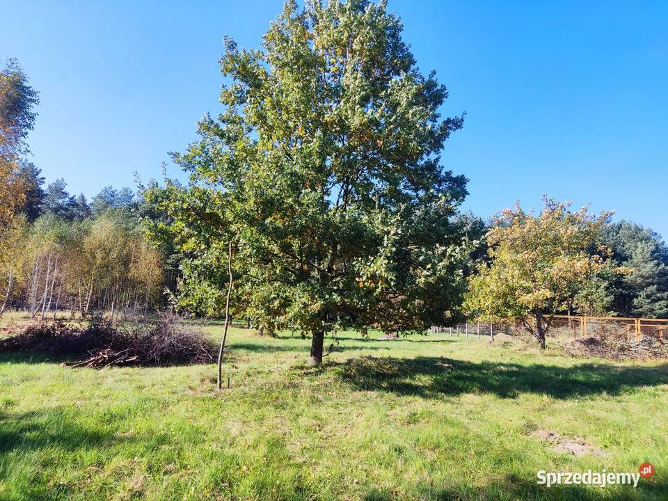 Działki budowlane 8001330m2 Grębiszew koło Mińsk budowlana