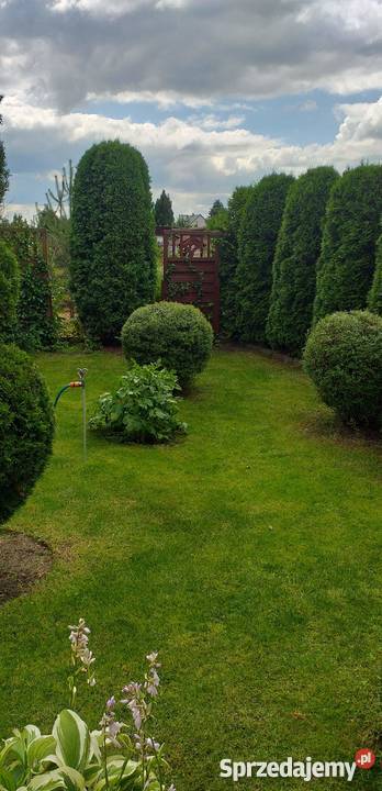 Ładna działka rekreacyjna