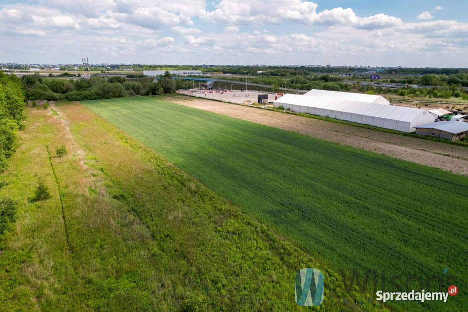Sprzedaż gruntu 10379m2 Dawidy sprzedam