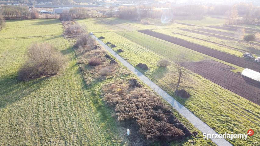 Grunt 2425m2 Krzeczów 61zł/m2