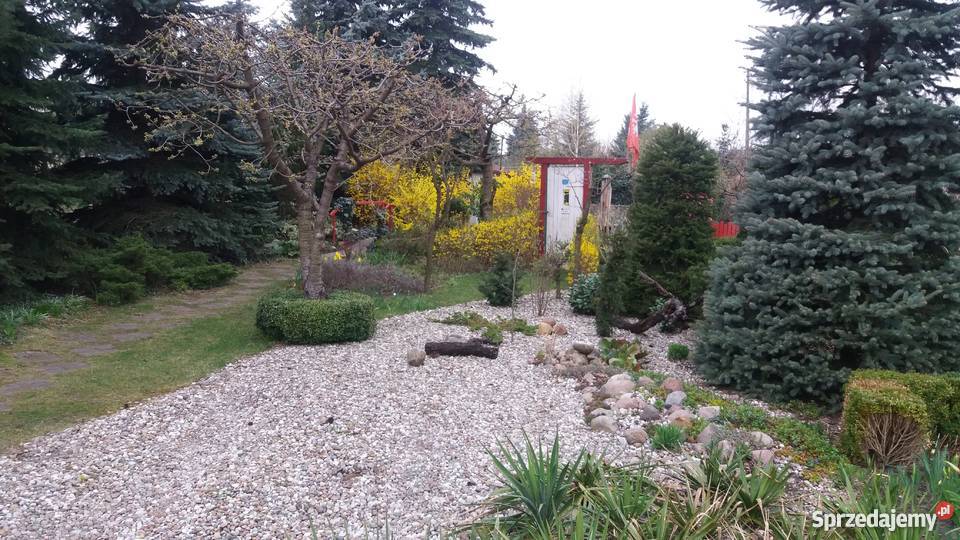 działka ROD Energetyk 1 Poznań Wincentego 1 Poznań