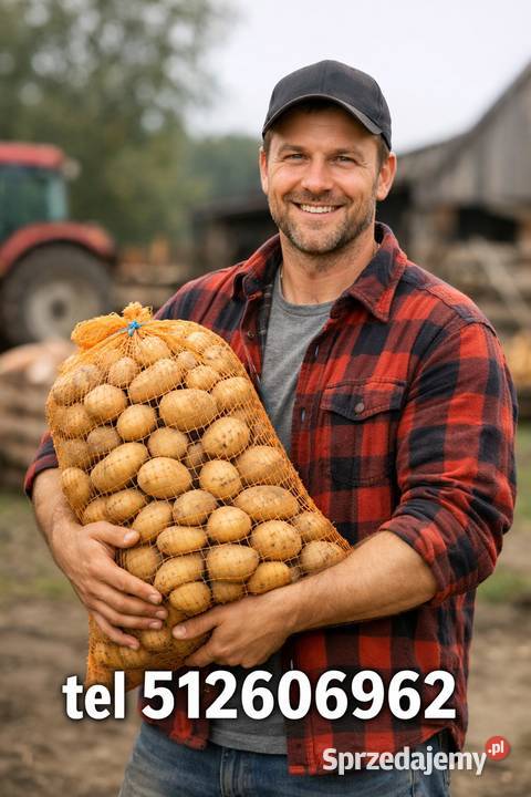 Ziemniaki bellarosa Soraya Działoszyce