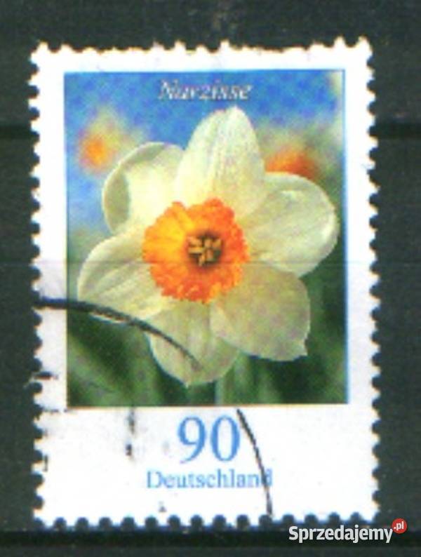 Zn RFN wykaz w opisie kas 2006 Gliwice sprzedam