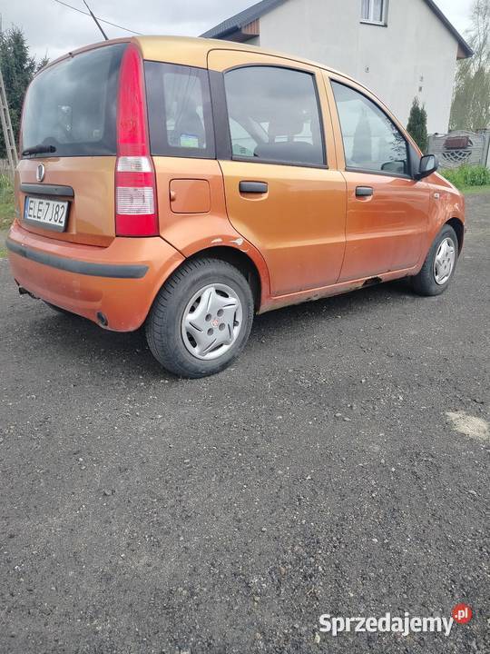 Fiat panda w gazie Konin