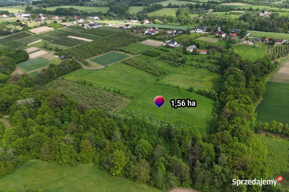 Działka rolnoleśna 156 ha Sadek Jodłownik
