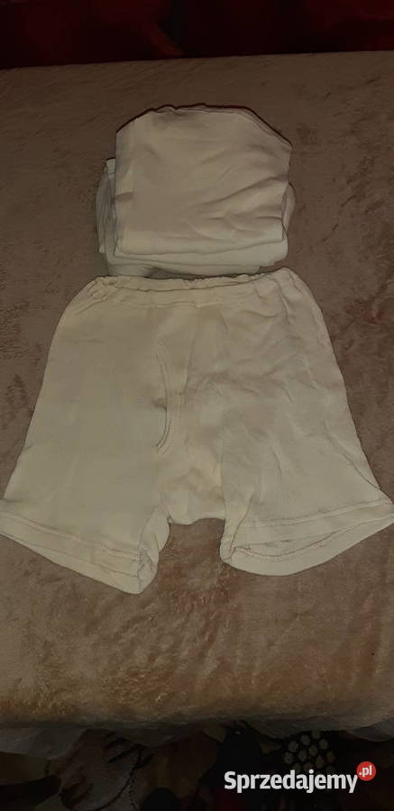 Ubrania robocze Wodzisław Śląski