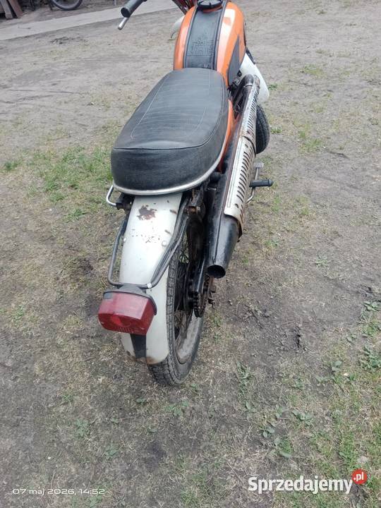 Wsk lelek 76 dudek bąk gil oryginał Czersk