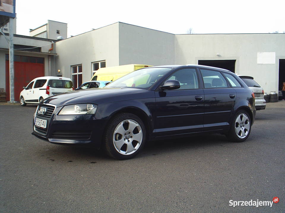 Audi A3 125 Niski przebieg 135340 BEZWYPADKOWY 4/5 lubuskie Zielona Góra